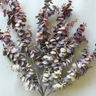 Buquê De Flores Eucalipto Outonado Artificial | Formosinha